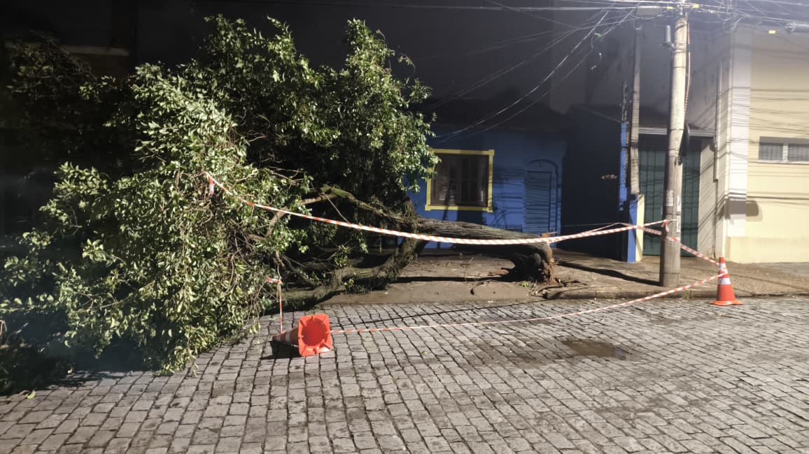 Foto 38 de 67 — TEMPORAL EM FOTOS: veja imagens de destruição em Araraquara